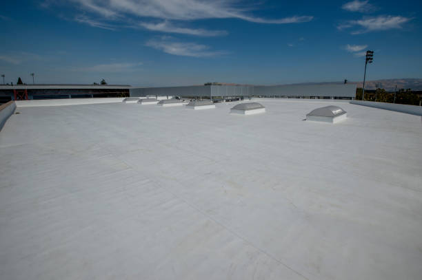 Best 4 Ply Roofing  in Dillon, CO