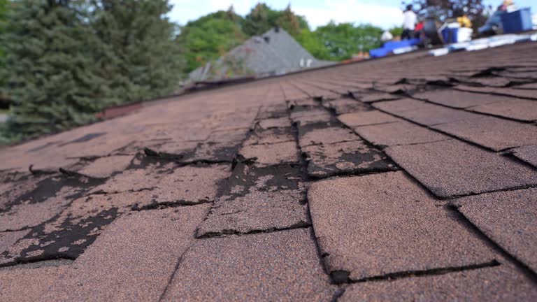 Best Gutter Replacement  in Dillon, CO