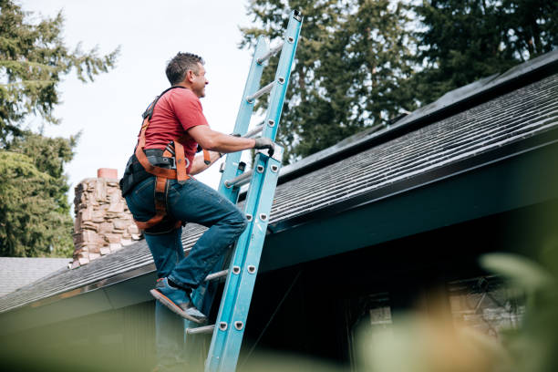 Best Solar Panel Roofing Installation  in Dillon, CO
